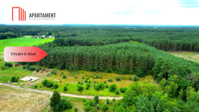 Cegielnik działka 1356m2 ze ścianą lasu - powiat toruński  -
Kujawsko-Pomorskie Zdjęcie nr 6