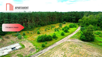 Cegielnik działka 1356m2 ze ścianą lasu - powiat toruński  -
Kujawsko-Pomorskie Zdjęcie nr 8