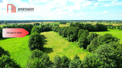 ZŁAWIEŚ WIELKA 1468 m2  PROJEKT DOMU W CENIE - Zławieś Wielka  -
Kujawsko-Pomorskie Zdjęcie nr 5