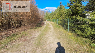 Duża działka budowlana blisko jeziora - Lisiny  -
Kujawsko-Pomorskie Zdjęcie nr 10