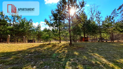 Duża działka budowlana blisko jeziora - Lisiny  -
Kujawsko-Pomorskie Zdjęcie nr 7