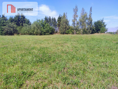 Działki na sprzedaż  spokój zieleń Bałtyk - Śmiechów  -
Zachodniopomorskie Zdjęcie nr 3