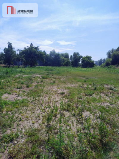 Działki na sprzedaż  spokój zieleń Bałtyk - Śmiechów  -
Zachodniopomorskie Zdjęcie nr 4