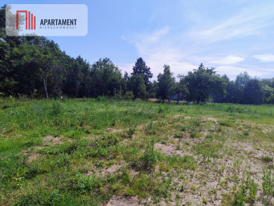 Działki na sprzedaż  spokój zieleń Bałtyk - Śmiechów  -
Zachodniopomorskie Zdjęcie nr 5