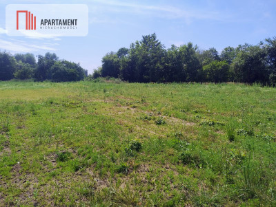 Działki na sprzedaż  spokój zieleń Bałtyk - Śmiechów  -
Zachodniopomorskie Zdjęcie nr 6