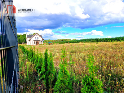 Działka budowlana w spokojnej okolicy  - Frank  -
Pomorskie Zdjęcie nr 12