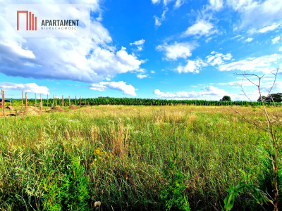 Działka budowlana w spokojnej okolicy  - Frank  -
Pomorskie Zdjęcie nr 7