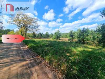 Kompleks działek budowlanych nad Notecią - Szkocja  -
Kujawsko-Pomorskie Zdjęcie nr 3