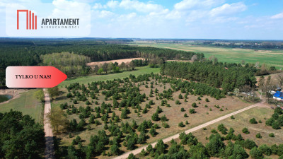 Kompleks działek budowlanych nad Notecią - Szkocja  -
Kujawsko-Pomorskie Zdjęcie nr 4