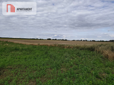 Atrakcyjna działka pod budowę domu tylko 150złmkw - Mochle  -
Kujawsko-Pomorskie Zdjęcie nr 4