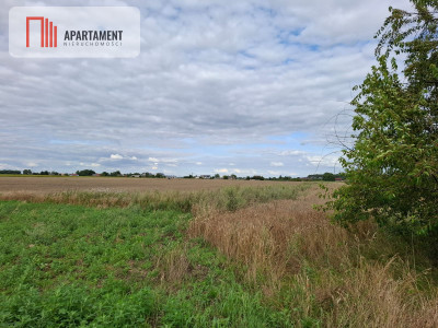 Atrakcyjna działka pod budowę domu tylko 150złmkw - Mochle  -
Kujawsko-Pomorskie Zdjęcie nr 5