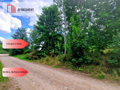 Tylko u Nas Duża działka usługowo-mieszkalna - Charzykowy  -
Pomorskie Zdjęcie nr 3