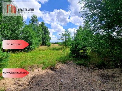 Tylko u Nas Duża działka usługowo-mieszkalna - Charzykowy  -
Pomorskie Zdjęcie nr 5