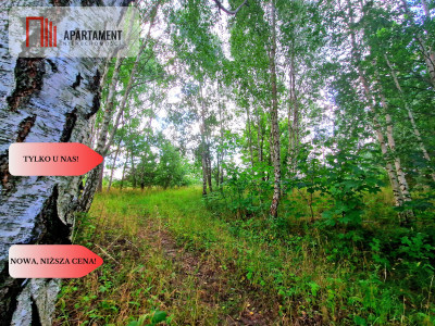 Tylko u Nas Duża działka usługowo-mieszkalna - Charzykowy  -
Pomorskie Zdjęcie nr 6