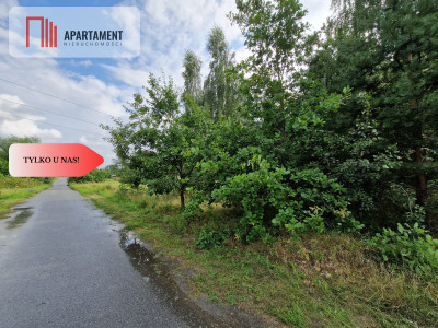 Działka Górne Morgi - Morgi  -
Kujawsko-Pomorskie Zdjęcie nr 3