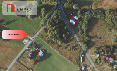 Działka Górne Morgi - Morgi  -
Kujawsko-Pomorskie Zdjęcie nr 4