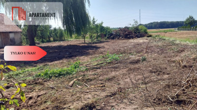 Dom do  remontu na działce 18a blisko lasu - Słup  -
Dolnośląskie Zdjęcie nr 3