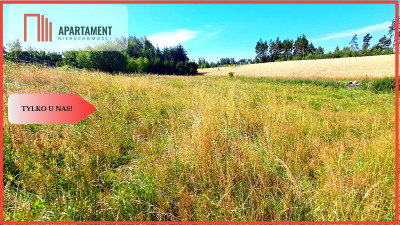 Duża ładna działka budowlana blisko miasta - Tuchola  -
Kujawsko-Pomorskie Zdjęcie nr 2