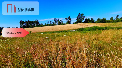 Duża ładna działka budowlana blisko miasta - Tuchola  -
Kujawsko-Pomorskie Zdjęcie nr 3