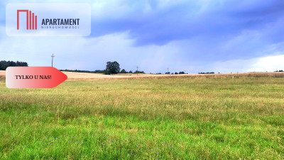 Tylko u nas  Działka siedliskowa  - powiat chojnicki  -
Pomorskie Zdjęcie nr 8