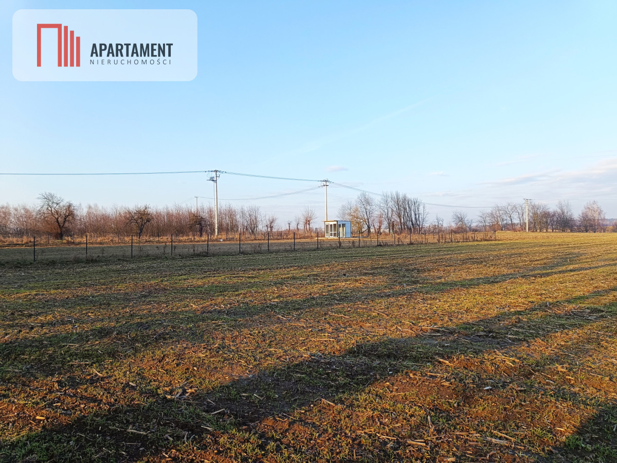 Duża działka budowlana na wsi - Koza Wielka  -
Wielkopolskie Zdjęcie nr 1