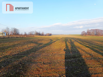 Duża działka budowlana na wsi - Koza Wielka  -
Wielkopolskie Zdjęcie nr 2