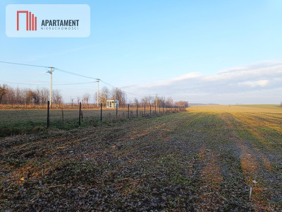 Duża działka budowlana na wsi - Koza Wielka  -
Wielkopolskie Zdjęcie nr 7