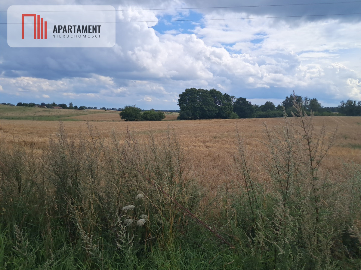 Działka Rolna - Róża Wielka - powiat pilski  -
Wielkopolskie Zdjęcie nr 1