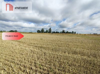 TYLKO U NAS DZIAŁKA Z WARUNKAMI ZABUDOWY MEDIA - powiat człuchowski  -
Pomorskie Zdjęcie nr 2