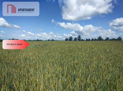 TYLKO U NAS DZIAŁKA Z WARUNKAMI ZABUDOWY MEDIA - powiat człuchowski  -
Pomorskie Zdjęcie nr 4