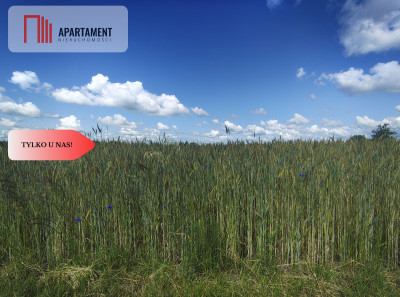 TYLKO U NAS DZIAŁKA Z WARUNKAMI ZABUDOWY MEDIA - powiat człuchowski  -
Pomorskie Zdjęcie nr 6