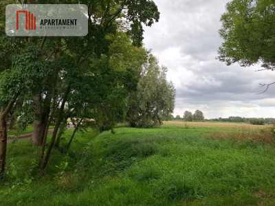 Nietuzinkowa działka pod inwestycję - Chrystkowo  -
Kujawsko-Pomorskie Zdjęcie nr 3