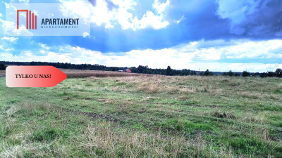 Tylko u nas Działka budowlana z potencjałem - powiat chojnicki  -
Pomorskie Zdjęcie nr 4