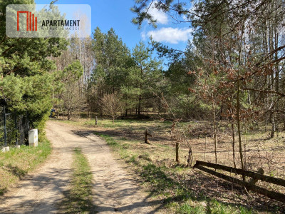 Tylko u nas Działka blisko natury w Borku - Borek Kamienny  -
Pomorskie Zdjęcie nr 10