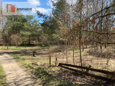 Tylko u nas Działka blisko natury w Borku - Borek Kamienny  -
Pomorskie Zdjęcie nr 11