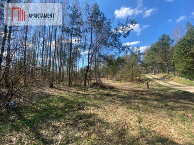 Tylko u nas Działka blisko natury w Borku - Borek Kamienny  -
Pomorskie Zdjęcie nr 14