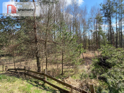 Tylko u nas Działka blisko natury w Borku - Borek Kamienny  -
Pomorskie Zdjęcie nr 9