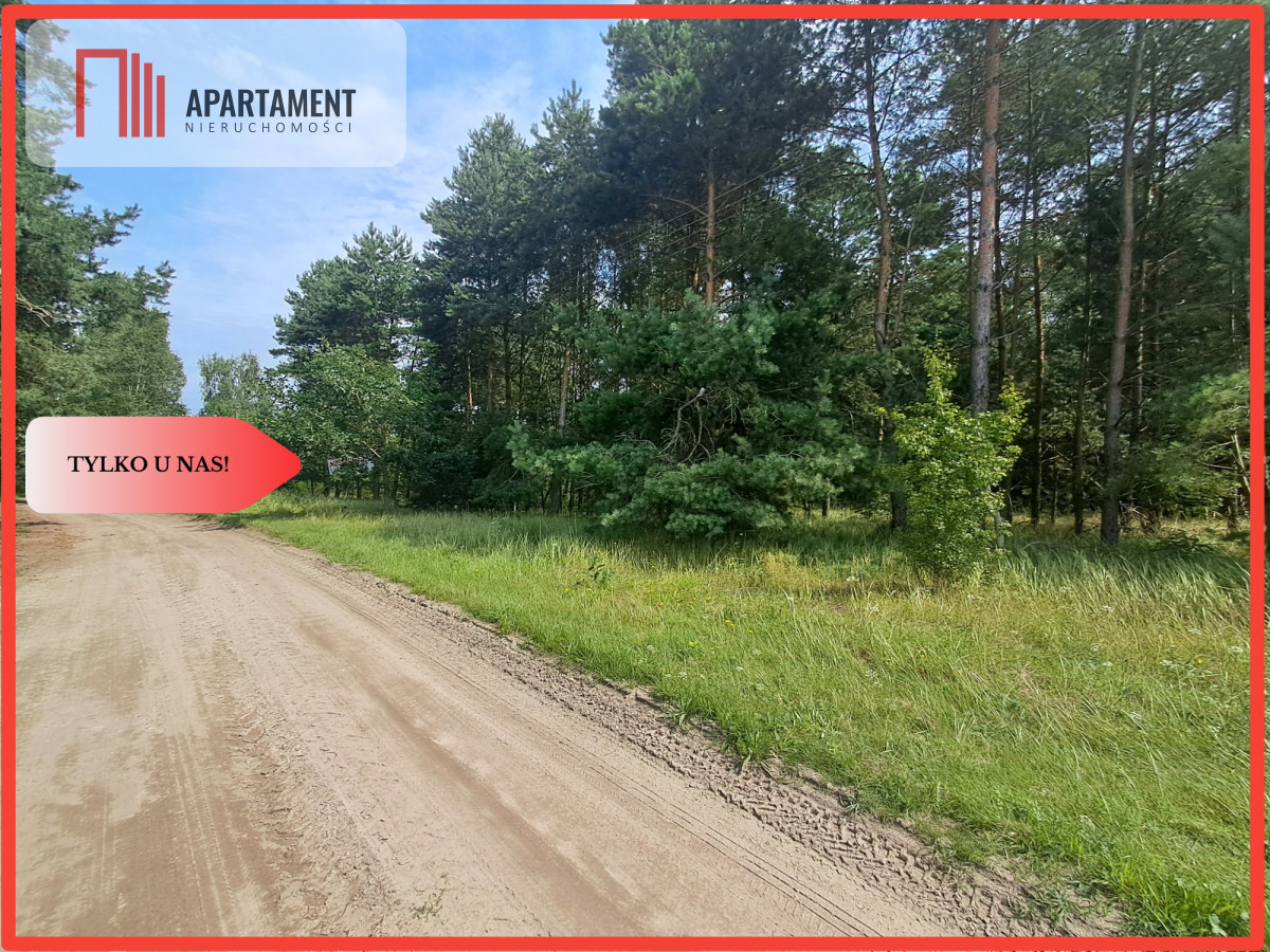 Działka z lasem - Budziszewice  -
Wielkopolskie Zdjęcie nr 1