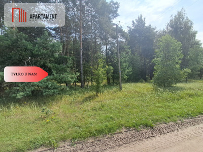 Działka z lasem - Budziszewice  -
Wielkopolskie Zdjęcie nr 4