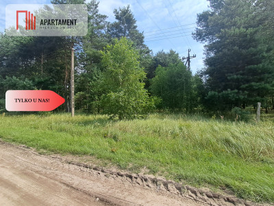 Działka z lasem - Budziszewice  -
Wielkopolskie Zdjęcie nr 6