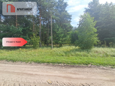 Działka z lasem - Budziszewice  -
Wielkopolskie Zdjęcie nr 8