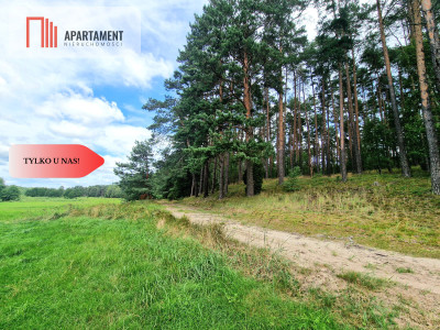 Polany w lesie Bory Tucholskie Głusza - powiat świecki  -
Kujawsko-Pomorskie Zdjęcie nr 12