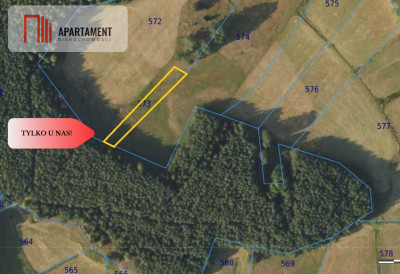 Polany w lesie Bory Tucholskie Głusza - powiat świecki  -
Kujawsko-Pomorskie Zdjęcie nr 2