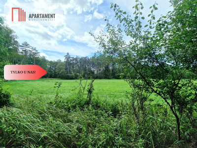 Polany w lesie Bory Tucholskie Głusza - powiat świecki  -
Kujawsko-Pomorskie Zdjęcie nr 7