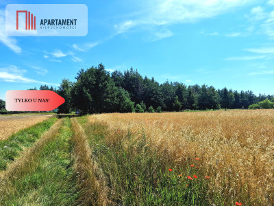 Działka budowlana w Borach Tucholskich - powiat świecki  -
Kujawsko-Pomorskie Zdjęcie nr 9