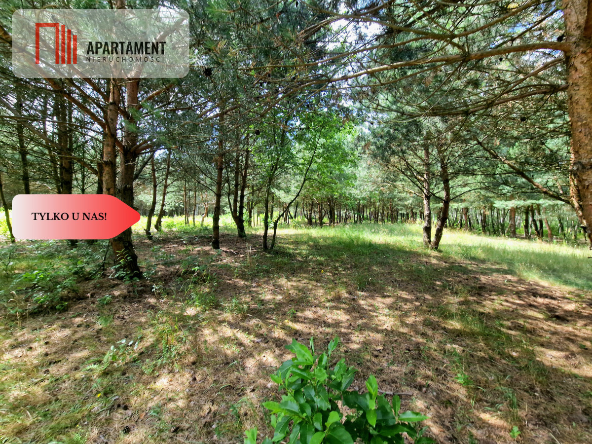Działki budowlane w lesie blisko Poznania - powiat wągrowiecki  -
Wielkopolskie Zdjęcie nr 1