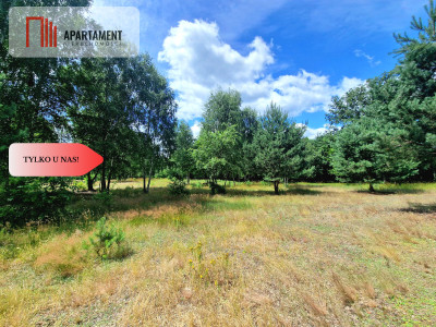 Działki budowlane w lesie blisko Poznania - powiat wągrowiecki  -
Wielkopolskie Zdjęcie nr 5