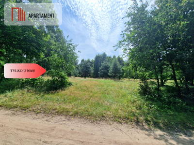 Działki budowlane w lesie blisko Poznania - powiat wągrowiecki  -
Wielkopolskie Zdjęcie nr 9