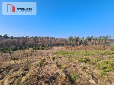 Działka przy brzegu rzeki Brdy - Męcikał  -
Pomorskie Zdjęcie nr 4