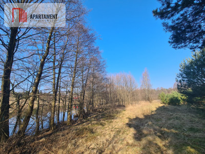 Działka przy brzegu rzeki Brdy - Męcikał  -
Pomorskie Zdjęcie nr 5